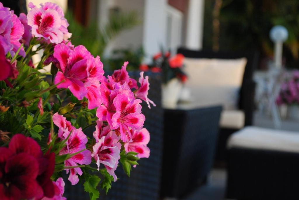 Apartments & Rooms Milcetic M Malinska Εξωτερικό φωτογραφία