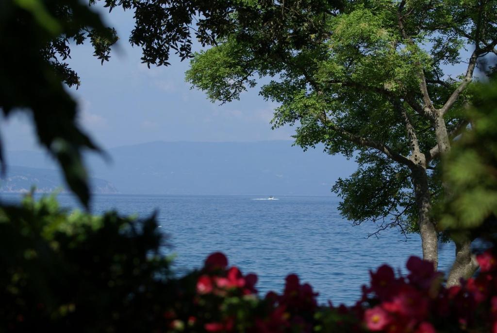 Apartments & Rooms Milcetic M Malinska Δωμάτιο φωτογραφία